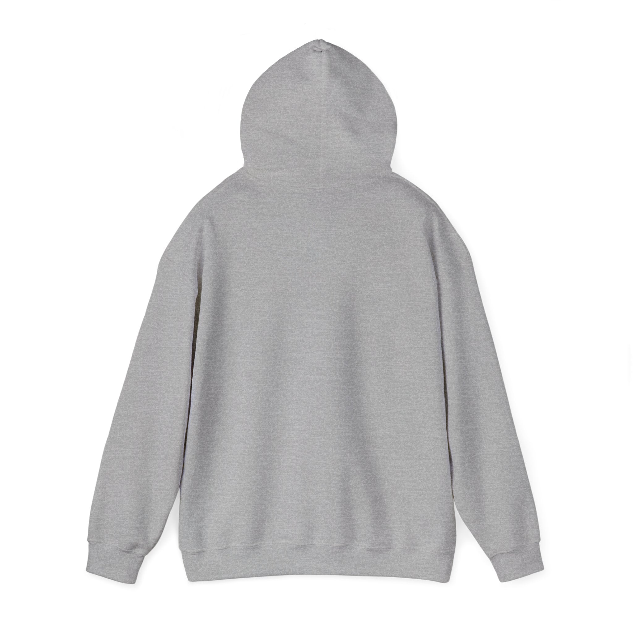 Future Vibes Hoodie | Y2K cyber holo aesthetic, retro tech print